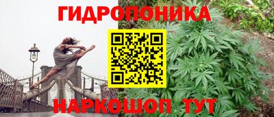 сатива Ликино-Дулёво