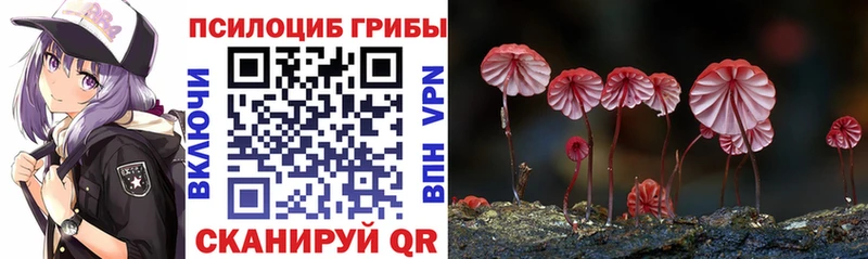 Галлюциногенные грибы MAGIC MUSHROOMS  Бугуруслан 