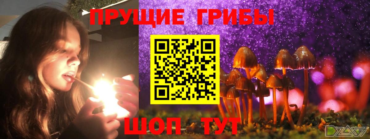 Бугуруслан  Галлюциногенные грибы прущие грибы  Вход с VPN 